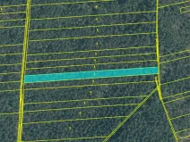 Dražba lesa, Hranice, 4805 m2