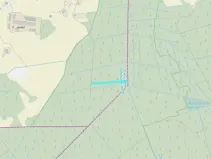 Dražba lesa, Hranice, 4805 m2