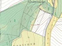 Dražba lesa, Jenišovice, 1872 m2