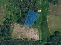 Dražba lesa, Mladoňovice, 1427 m2