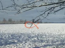 Prodej pozemku pro bydlení, Bělotín, 2600 m2