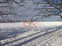 Prodej pozemku pro bydlení, Bělotín, 2600 m2