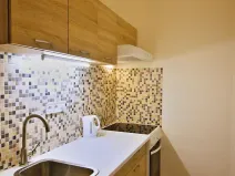 Pronájem bytu 1+kk, Brno, Koliště, 23 m2