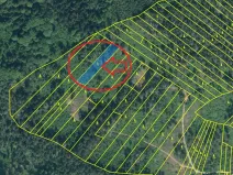 Prodej podílu lesa, Zálezly, 799 m2