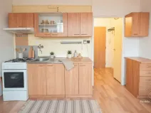 Prodej bytu 1+1, České Budějovice - České Budějovice 3, Plzeňská, 30 m2