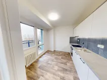 Pronájem bytu 1+1, Ostrava, Gen. Hrušky, 38 m2