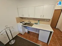 Pronájem bytu 1+kk, Plzeň - Doubravka, Na Dlouhých, 25 m2