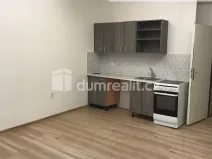 Pronájem bytu 1+kk, Praha - Karlín, Šaldova, 25 m2