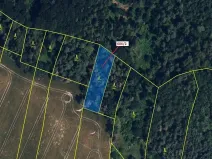 Dražba lesa, Přemyslovice, 1381 m2