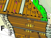 Dražba lesa, Hradčany-Kobeřice, 1895 m2