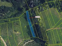 Dražba lesa, Spešov, 1009 m2