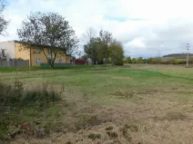 Dražba pole, Úžice, 24777 m2