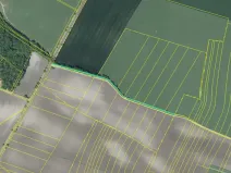 Dražba pole, Chotěšov, 7368 m2