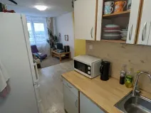 Prodej bytu 2+kk, Most, Josefa Ševčíka, 40 m2