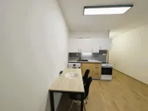 Pronájem bytu 1+kk, Sokolov, Mičurinova, 21 m2