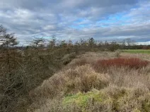 Prodej zahrady, Nové Strašecí, Sukova, 934 m2