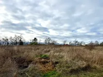 Prodej zahrady, Nové Strašecí, Sukova, 934 m2