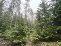 Prodej lesa, Městečko Trnávka - Lázy, 32904 m2