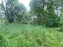 Prodej pozemku, Březová, 1993 m2