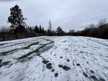 Prodej pozemku, Brázdim - Starý Brázdim, 1371 m2