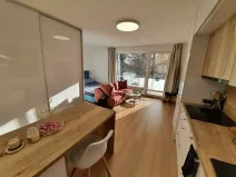 Pronájem bytu 1+kk, Jihlava, U Cihelny, 40 m2