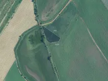 Prodej louky, Brumovice, 9612 m2