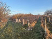 Prodej pozemku, Kobylí, 3139 m2