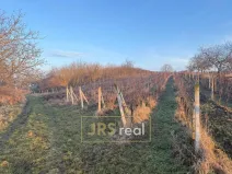 Prodej pozemku, Kobylí, 3139 m2