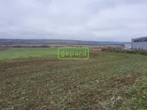 Prodej pozemku, Starovice, 5036 m2