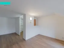 Pronájem bytu 1+1, Olomouc - Nové Sady, V kotlině, 52 m2