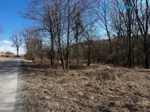 Prodej pozemku pro bydlení, Budišov nad Budišovkou - Guntramovice, 556 m2