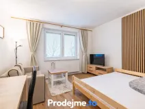 Pronájem bytu 1+kk, Dobšice, V Zahradách, 29 m2