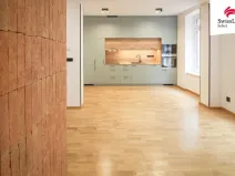 Pronájem bytu 2+kk, Jihlava, Gorkého, 50 m2