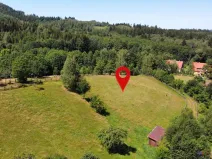 Prodej pozemku pro bydlení, Olešnice v Orlických horách, 2456 m2