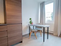 Pronájem bytu 2+kk, Praha - Vinohrady, Perucká, 45 m2
