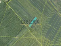 Prodej pole, Moravská Nová Ves, 13376 m2