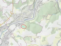 Prodej lesa, Lštění, 4810 m2