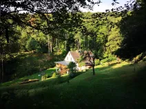 Prodej rodinného domu, Stráž nad Ohří - Srní, 300 m2