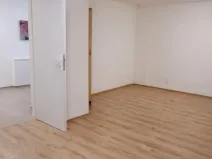 Pronájem bytu 1+1, Praha - Nusle, Družstevní, 38 m2