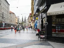 Prodej bytu 2+1, Praha - Vinohrady, Lublaňská, 64 m2