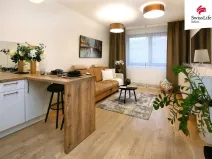 Pronájem bytu 1+kk, Praha - Žižkov, Olšanská, 35 m2