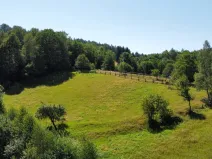 Prodej pozemku pro bydlení, Olešnice v Orlických horách, 4823 m2