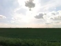 Prodej podílu pole, Vykáň, 38867 m2