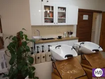 Prodej komerční nemovitosti, Praha, Petrská, 62 m2