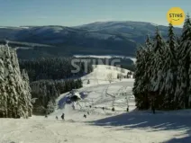 Prodej zahrady, Ostružná, 1120 m2