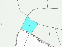 Dražba lesa, Kasalice, 7304 m2