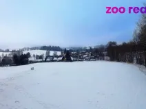 Prodej pozemku pro bydlení, Zdíkov, 2561 m2