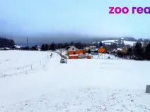 Prodej pozemku pro bydlení, Zdíkov, 2561 m2