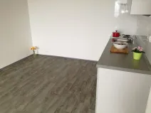 Pronájem bytu 2+kk, Ostrava - Bělský Les, Jiřího Herolda, 49 m2