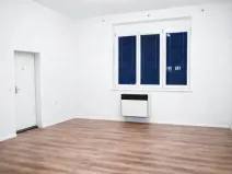 Pronájem bytu 2+kk, Praha - Nusle, Družstevní, 50 m2